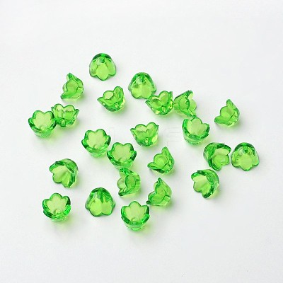 Transparent Acrylic Beads X-PL548-3-1