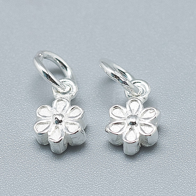925 Sterling Silver Charms STER-T002-104S-1