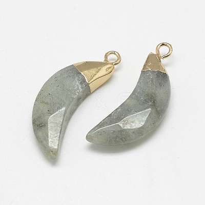 Natural Labradorite Pendants G-Q494-80D-1