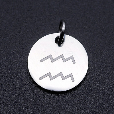 Non-Tarnish 201 Stainless Steel Charms STAS-T049-T643-11P-1