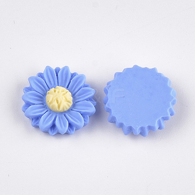 Resin Cabochons CRES-T010-60D-1