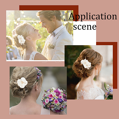 1Set Wedding Bridal Alloy Alligator Hair Clips OHAR-GA0001-05-1