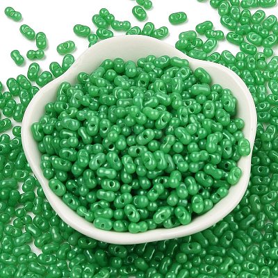 Baking Paint Glass Seed Beads SEED-L011-09A-02-1