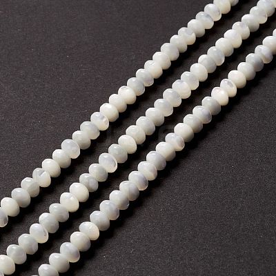 Natural Trochid Shell/Trochus Shell Beads Strands SSHEL-O001-24A-02-1