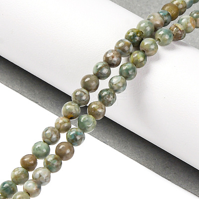 Natural Maifanite/Maifan Stone Beads Strands G-P451-01C-E-1