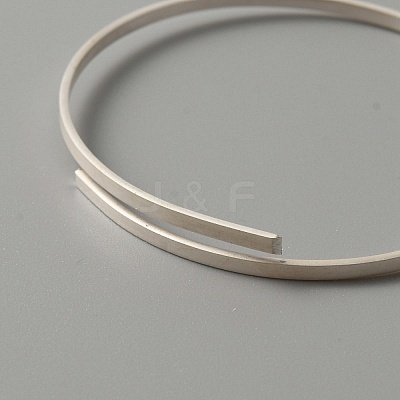 Sterling Silver Rectangle Flat Wire STER-WH0012-02S-1