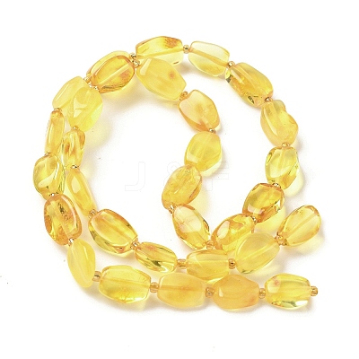 Natural Amber Beads Strands G-L095-C01-02-1