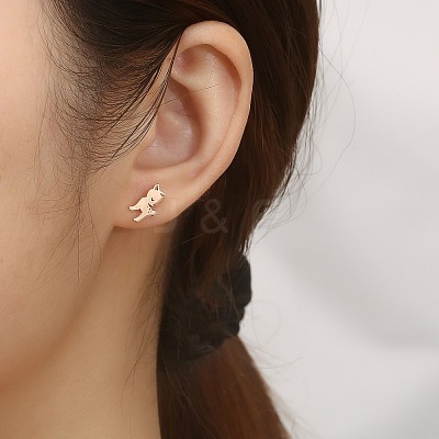 304 Stainless Steel Stud Earrings for Women DL2638-3-1
