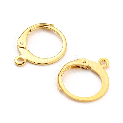 304 Stainless Steel Leverback Earring Findings STAS-D448-041G-1