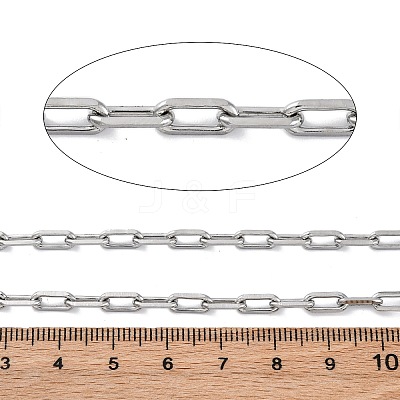 304 Stainless Steel Paperclip Chains CHS-M009-06P-04-1