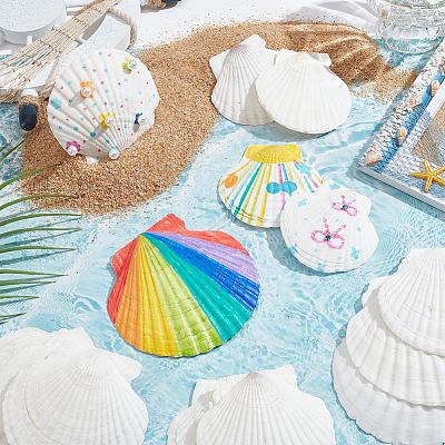 14Pcs 4 Styles Natural Shell Painting Accessories DIY-NB0012-05-1