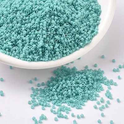 MIYUKI Delica Beads X-SEED-J020-DB1136-1