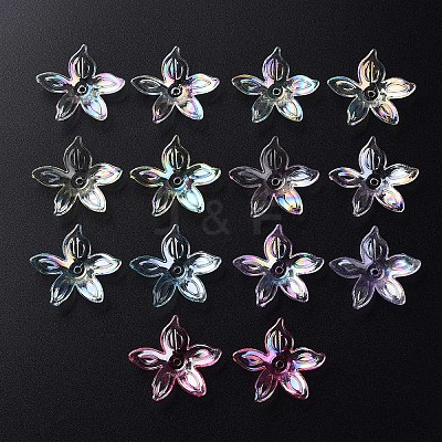 Transparent Acrylic Beads MACR-S373-102-C-1