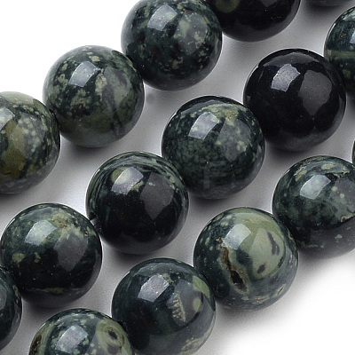 Natural Kambaba Jasper Beads Strands G-Q481-103-1