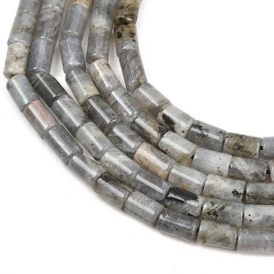 Natural Labradorite Beads Strands G-F832-B10-01-1