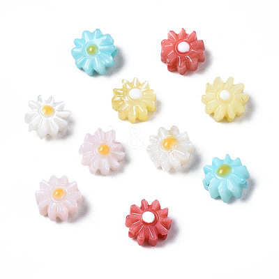 Natural Freshwater Shell Beads SHEL-N003-20A-1