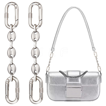 2Pcs 304 Stainless Steel Oval Link Bag Extender Chains AJEW-UN0001-74-1