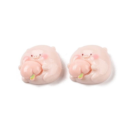 Opaque Resin Decoden Cabochons RESI-K040-01C-1