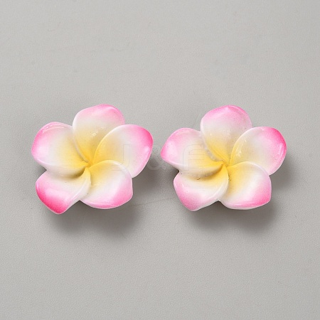 Two Tone Resin Cabochons LS-RESI-WH20010-01F-1