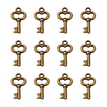 Gifts Ideas for Her Tibetan Style Alloy Charms LS-MLF11975Y-NF-1