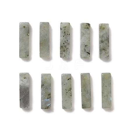 Natural Labradorite Pendants G-L593-01C-1