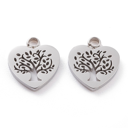 Non-Tarnish 304 Stainless Steel Charms LS-STAS-Y002-05P-1