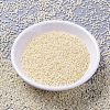 MIYUKI Delica Beads SEED-X0054-DB0157-2