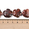 Natural Brecciated Jasper Beads Strands G-C220-E02-20mm-6