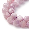 Natural Kunzite Beads Strands G-H313-01B-8mm-5
