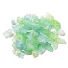 Imitation Jelly Acrylic Beads OACR-H039-02H-1