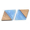 Resin & Walnut Wood Pendants RESI-S389-012A-3