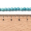 Dyed Natural Magnesite Beads Strands G-A323-A01-4mm-5