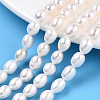 Natural Cultured Freshwater Pearl Beads Strands PEAR-N012-06M-1