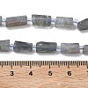 Natural Labradorite Beads Strands G-C270-K19-01-5