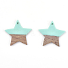 Resin & Wood Pendants LS-X-RESI-T023-23C-2