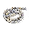 Natural Sodalite Beads Strands G-NH0021-A25-02-3