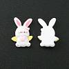 Opaque Resin Cabochons CRES-O006-05A-3