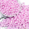 Opaque Colours Luster Glass Seed Beads SEED-P008-01C-12-1