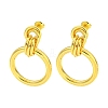 304 Stainless Steel Earrings EJEW-R161-04G-1