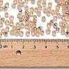 TOHO 6/0 Round Beads SEED-TR06-0031-3