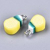 Handmade Polymer Clay Charms LS-CLAY-T016-60-3