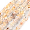 Natural Lodolite Quartz Beads Strands G-P497-01C-28-1