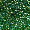 6/0 Inside Colours Glass Seed Beads SEED-A034-03G-3