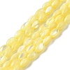 Natural Trochus Shell Beads Strands SHEL-K006-19C-1