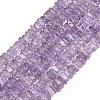 Natural Amethyst Beads Strands G-Z152-F05-02A-2