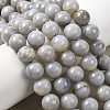 Natural Gemstone Beads Strands G-L641-A01-03-1
