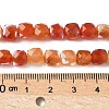 Natural Fire Crackle Agate Beads Strands G-H078-C49-6mm-04-5