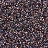 MIYUKI Delica Beads SEED-X0054-DB1706-3