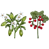 2Pcs 2 Styles Flower Enamel Pins JEWB-FH0002-89-1