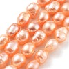 Natural Cultured Freshwater Pearl Beads Strands PEAR-P062-29B-1